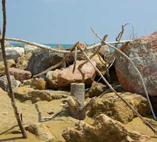 Strand von Bibione 06-2010