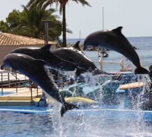 Marineland Mallorca