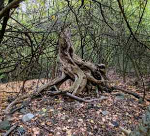 Stadt ein Festung ist am Ziel dies zu sehen