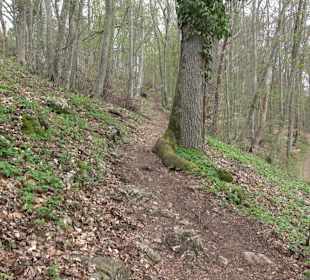 Wanderung rund um das Rusenschloss Gerhausen