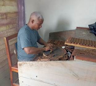 Punta Cana auf Deutsch - einfach schöne Ausflüge