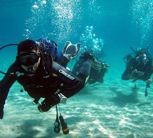 Divers