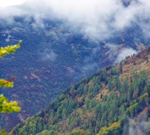 Plöckenpass Ende September 2010