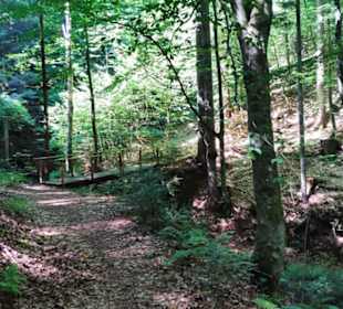 Waldweg mit Brücklein