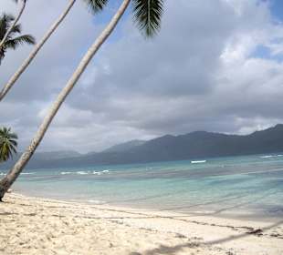 La Playita