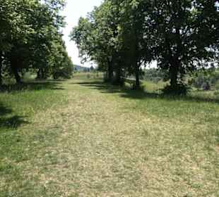 Kochhartgraben und Ammertalhänge (Reusten)