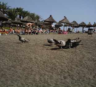 Kleines Stückchen Strand