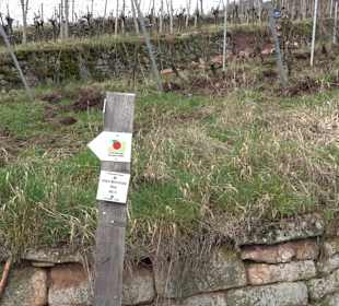 Unterjesinger Wengertwegle