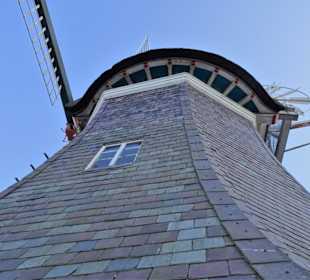 Auf der Galerie der Windmühle Varel