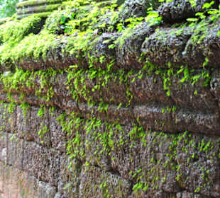 Wall