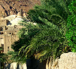 Barkhat al Mous