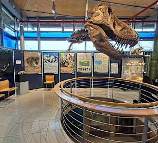 Geoskop in Thallichtenberg