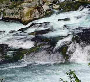 Am Rheinfall