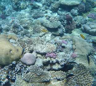 Unterwasserwelt Bootstour Utopia