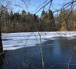 Winterspaziergang durch den Schlosspark 