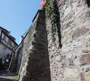 Die Stadtmauer