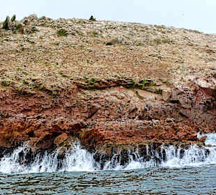 Ausflug Ballestas Inseln