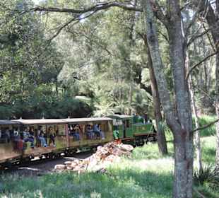 Mit der Puffing Billy Dampfbahn unterwegs