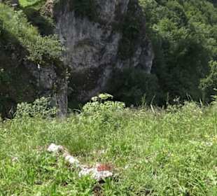 Schloss Lichtenstein