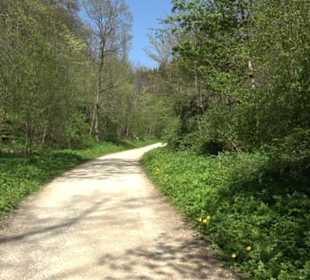 Premiumwanderweg Hochgehschätzt