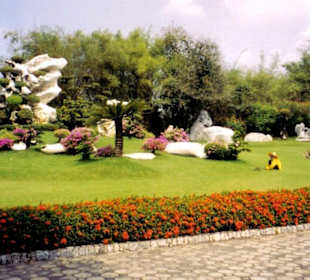 The Million Years Stone Park