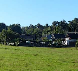 Mal in der Nähe der Häuser 