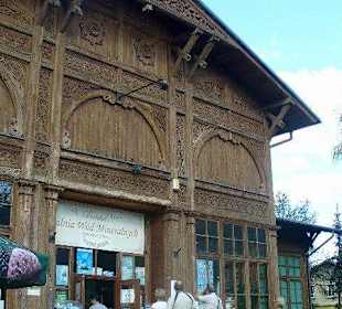 Pijalnia Wód Mineralnych