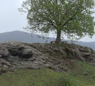 Kirschenweg