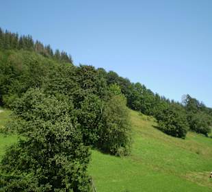 Tatrzański Park Narodowy