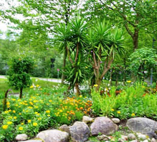 Am Eingang sehr schön angelegt