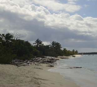 Strand Ausflug Ísla Catalina