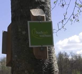 Sport- und Freizeitpark Markwasen