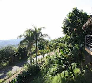 Schöner Ausblick in den Cordellieren