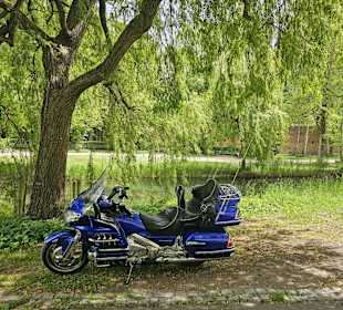 Stadtpark Glacis West