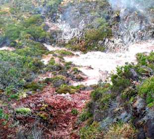 Inselrundfahrt Terceira