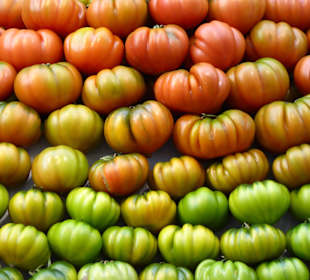 Tomaten in allen Farben am Obstmarkt Bozen