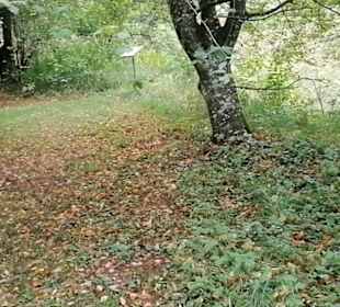 Schaugarten Eninger Weide