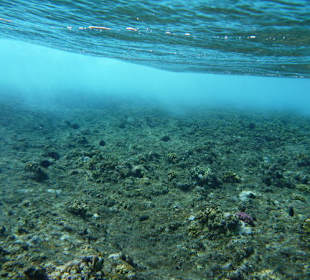 Auf dem Riff am Carnelia Beach Resort