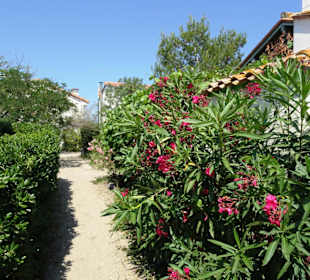 Streifzug um die Häuser von Le Racou