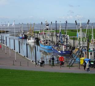 Impressionen aus dem Kutterhafen Wremen