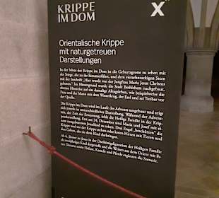 Maria-Empfängnis-Dom Linz in Linz