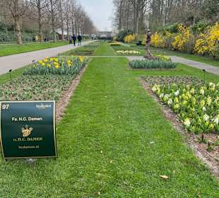 Keukenhof Holland