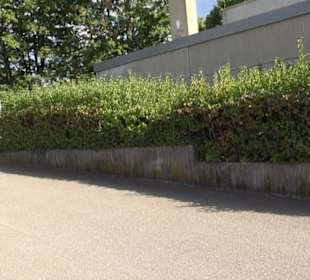 Grafenberghalle Kayh