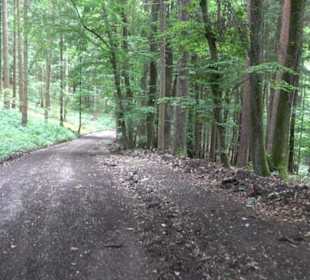 Schutzgebiet Spitzberg, Pfaffenberg