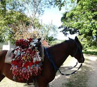 Reitausflug  – Oktober 2014