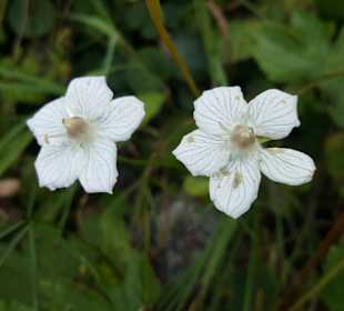 Wandern Stötten am Auerberg