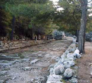 Phaselis