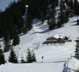 Skifahren