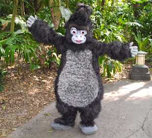 Disney's Animal Kingdom