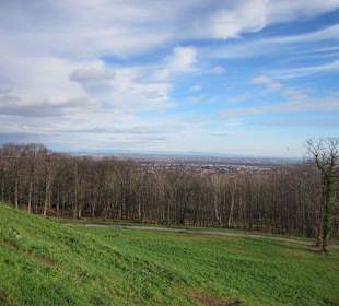 Blick vom Schloss Villa Ludwigshöhe